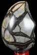 Septarian Dragon Egg Geode - Black Crystals #57405-2